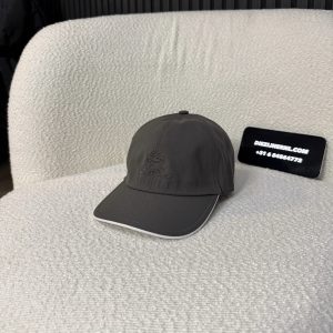 Loro Piana Pet Grijs